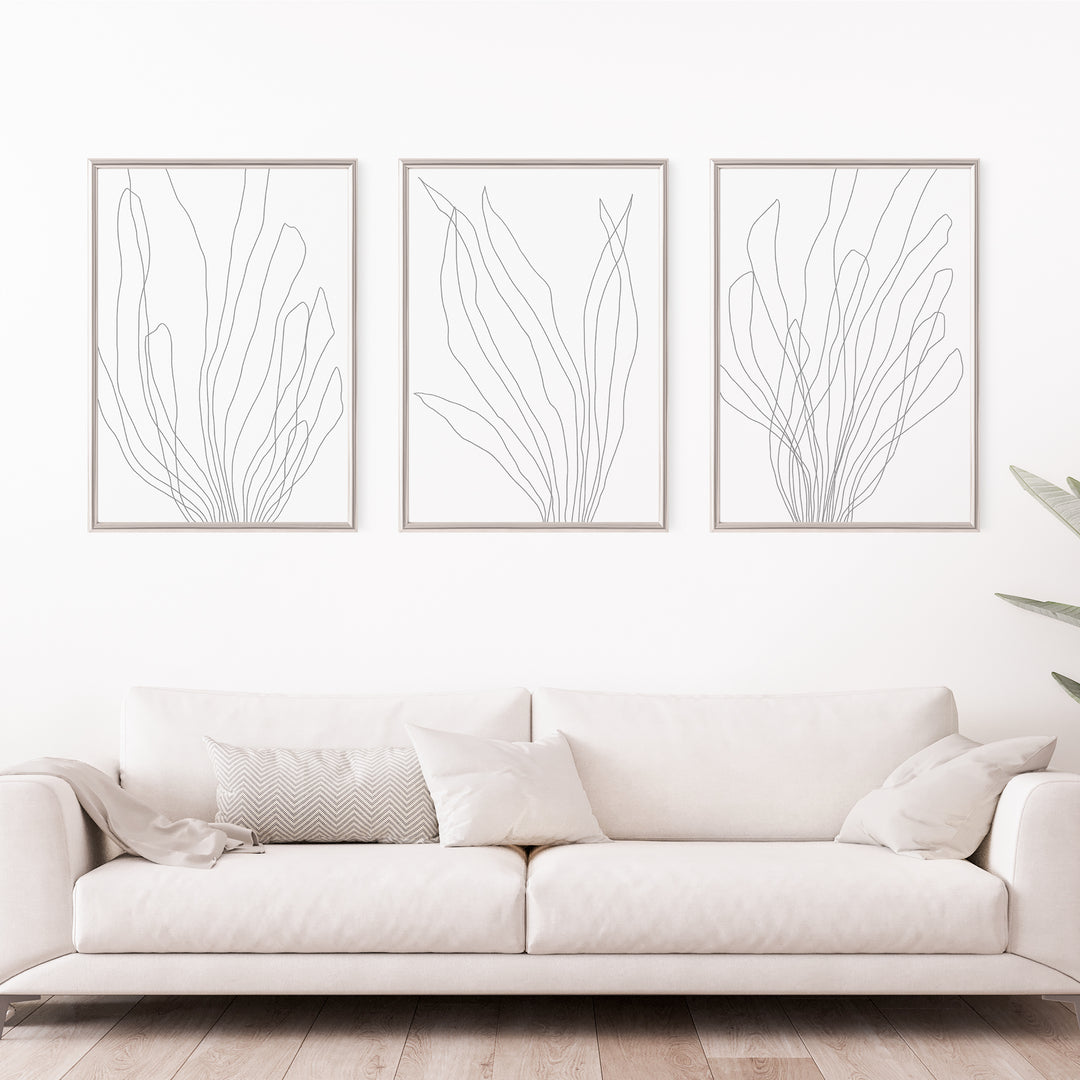 Modern Minimalist Seaweed Illustration - Set of 3  - Art Prints or Canvases - Jetty Home