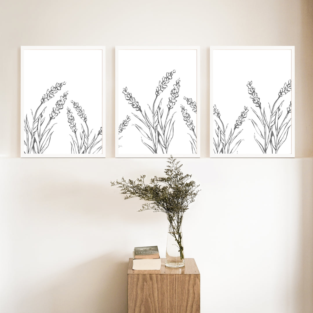 Lavender Fields - Set of 3  - Art Prints or Canvases - Jetty Home