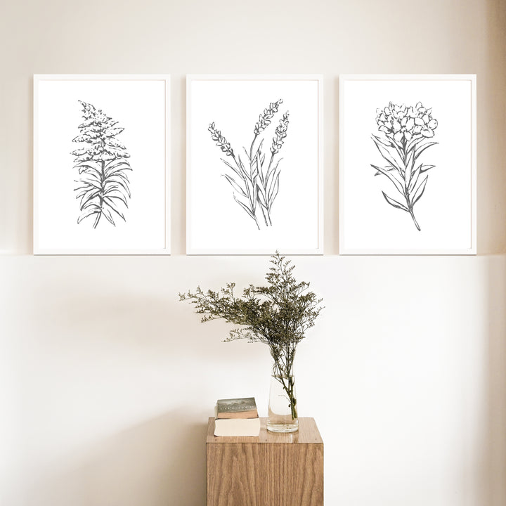 Florals in the Countryside - Set of 3  - Art Prints or Canvases - Jetty Home