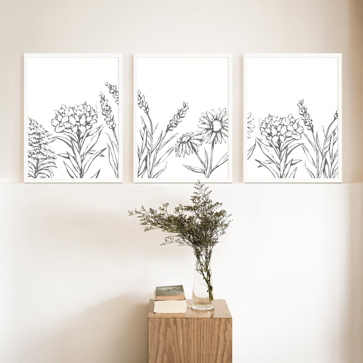 Wildflower Illustrations - Set of 3  - Art Prints or Canvases - Jetty Home