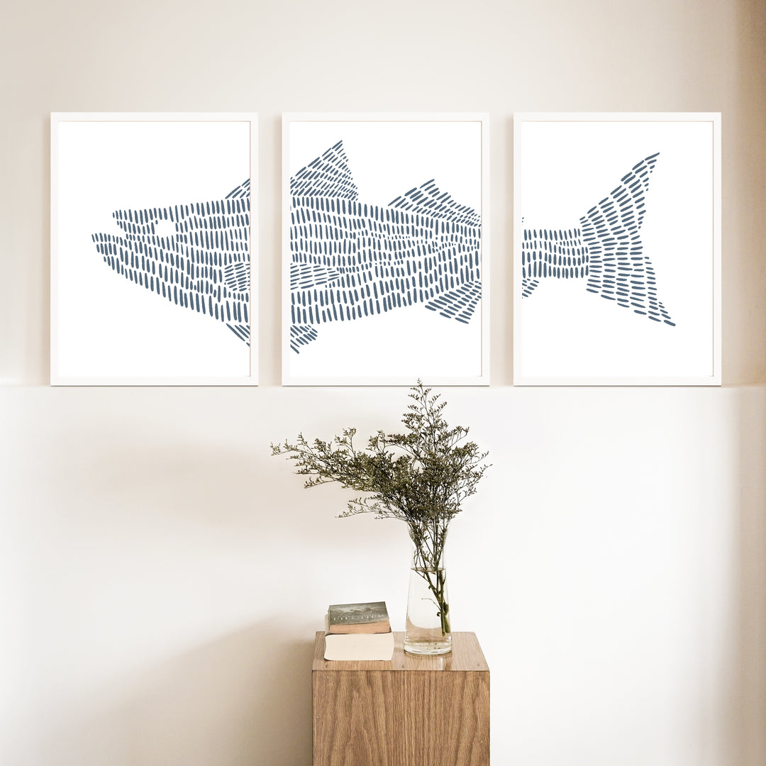 Striped Bass Fish Modern Illustration - Set of 3 - Art Prints or