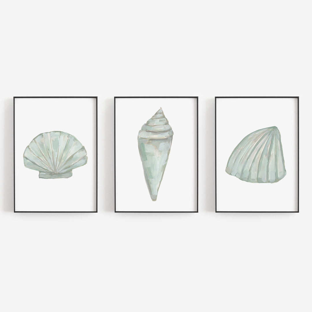 Seashell Trio, No. 1 - Set of 3 - Art Prints or Canvases in 2023