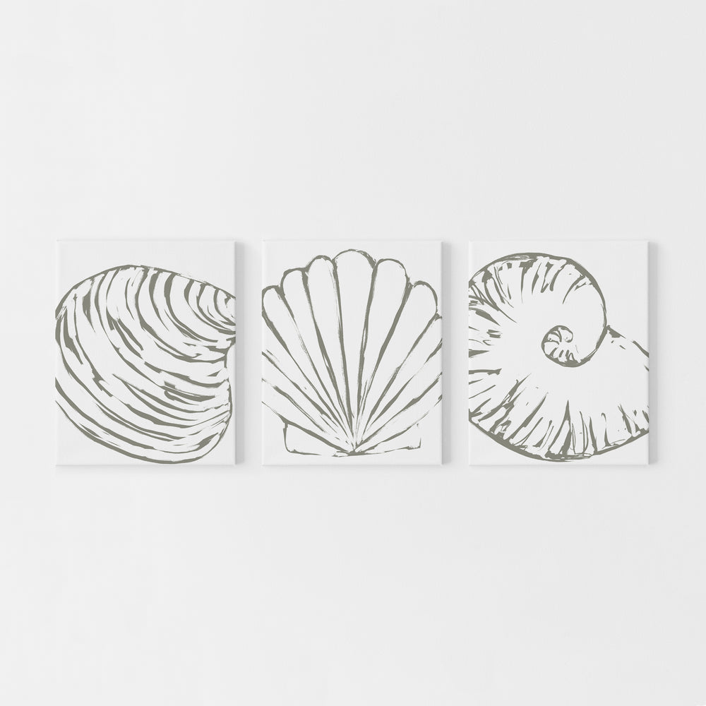 Minimalist Seashell Trio 2 - Set of 3 - Art Prints or Canvas - Jetty Home