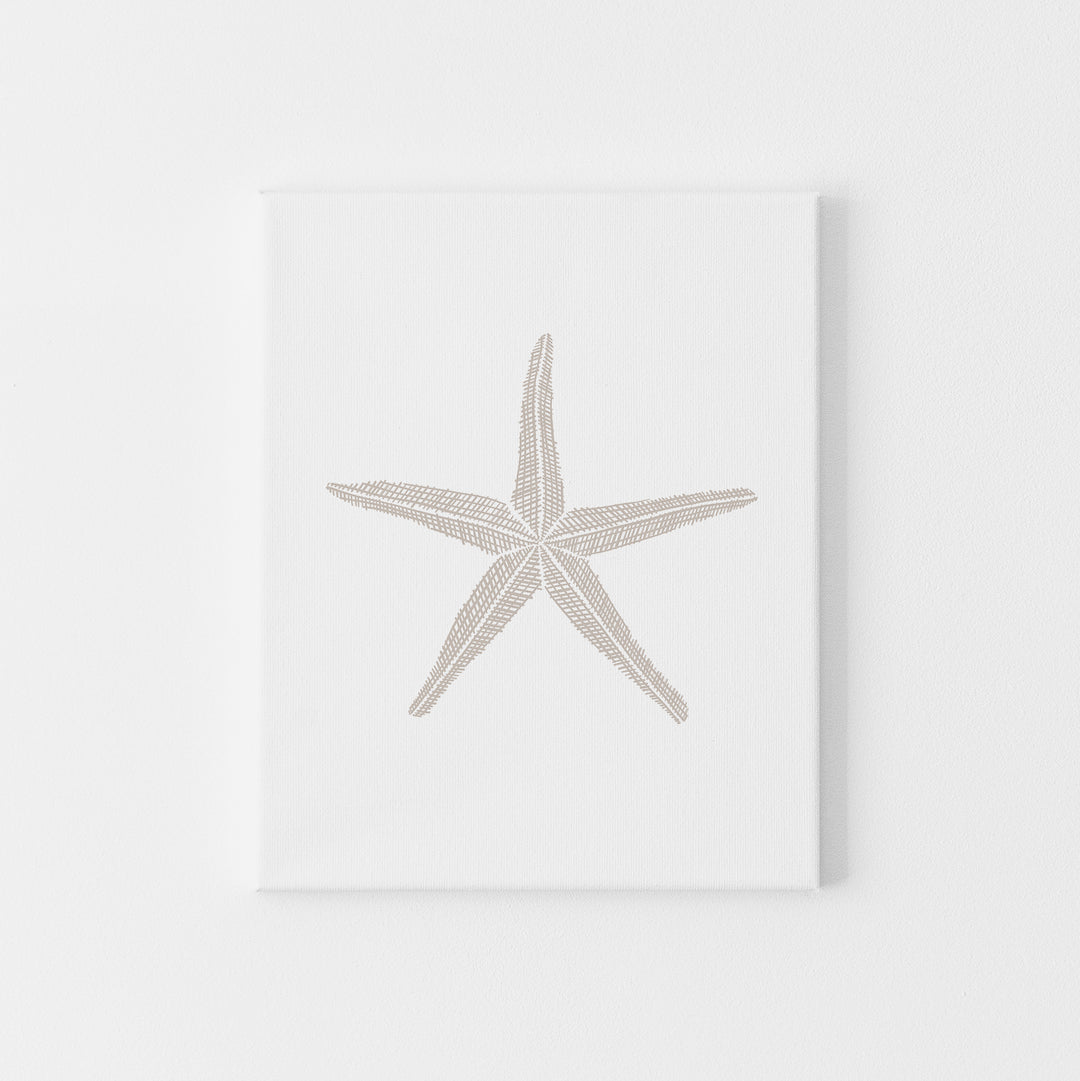 Woven Starfish Illustration - Art Print or Canvas - Jetty Home