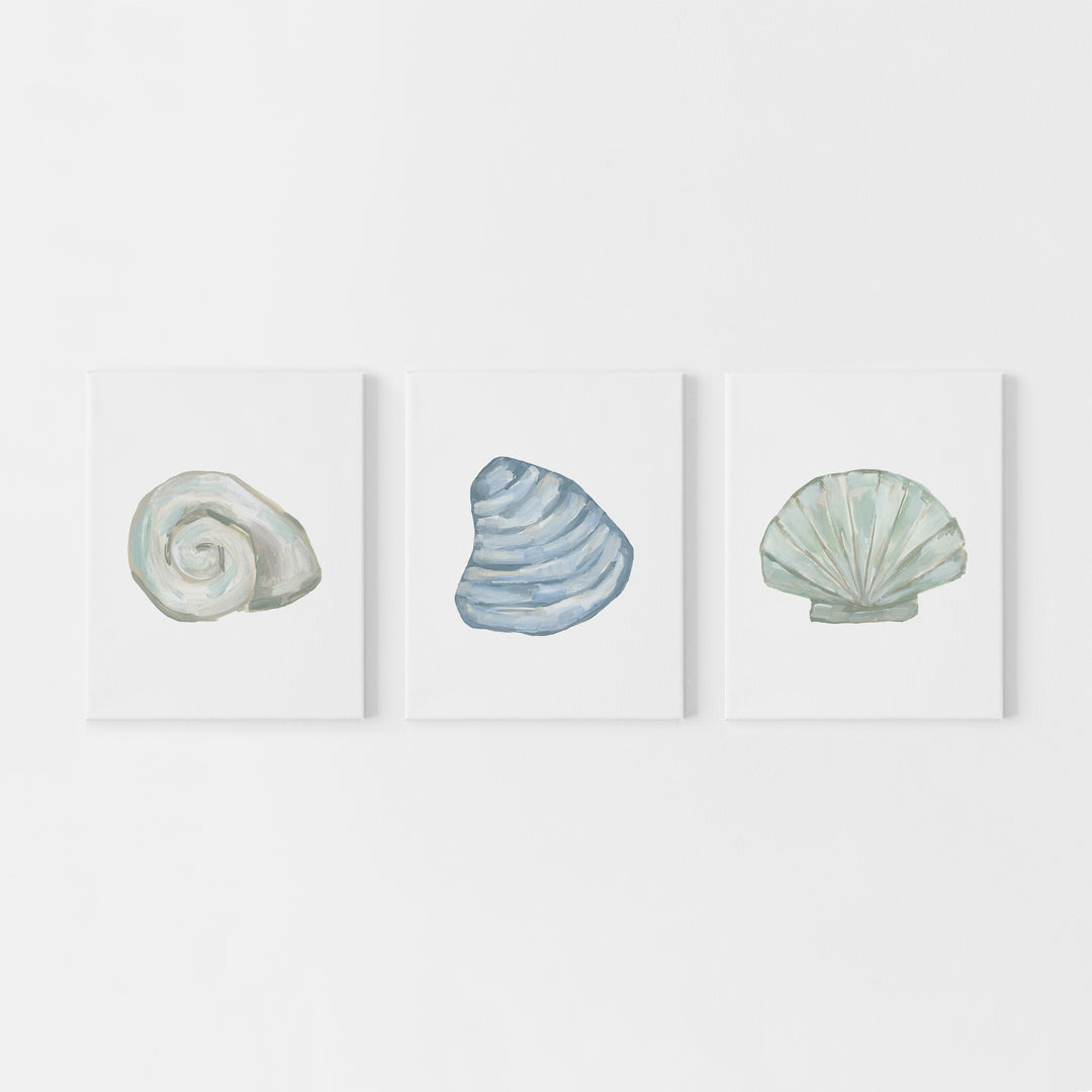 "Seashell Trio 2" Beach House Decor - Set of 3 - Art Prints or Canvas - Jetty Home