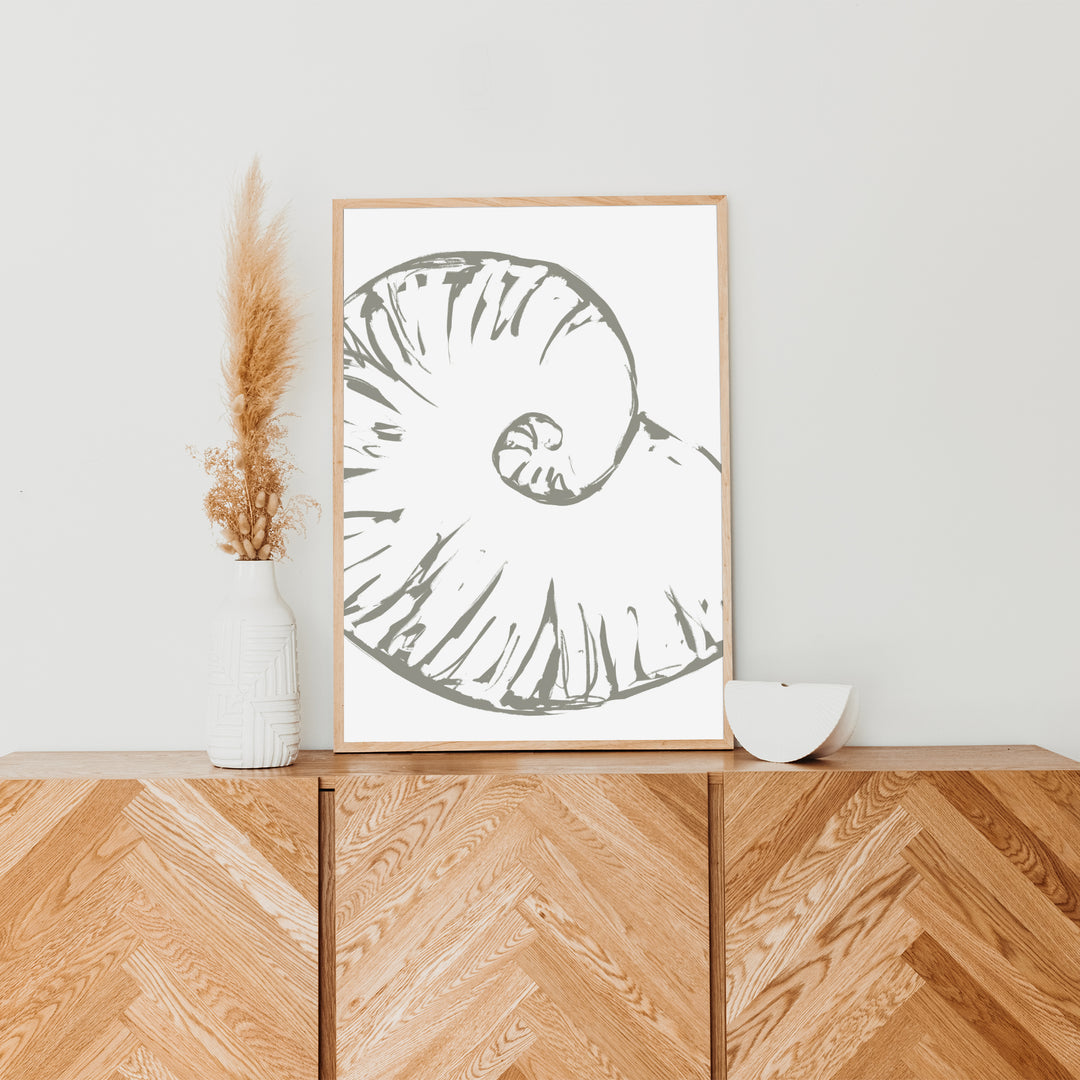 Modern Seashell Study, No. 3  - Art Print or Canvas - Jetty Home