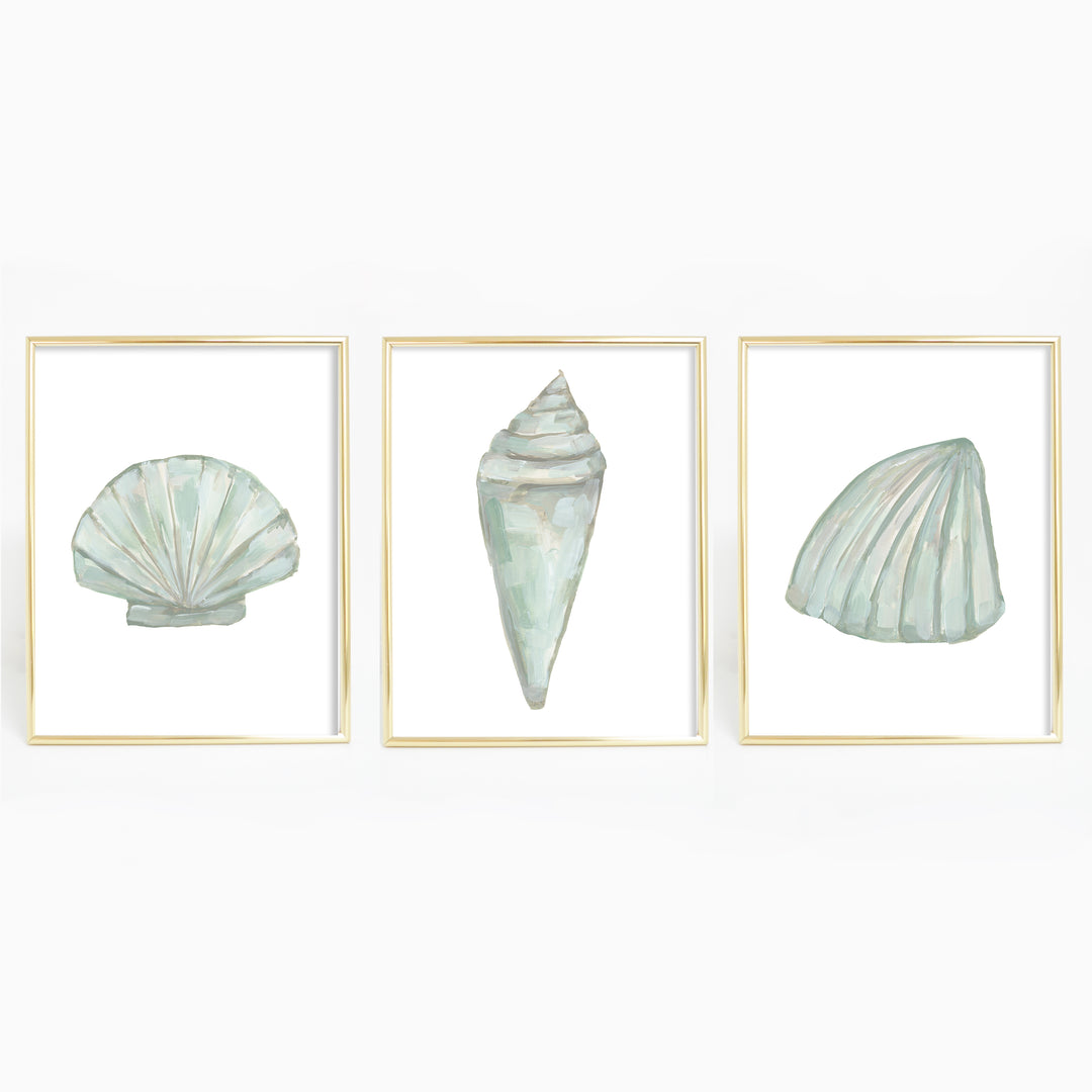 "Seashell Trio 1" - Set of 3 - Art Prints or Canvas - Jetty Home