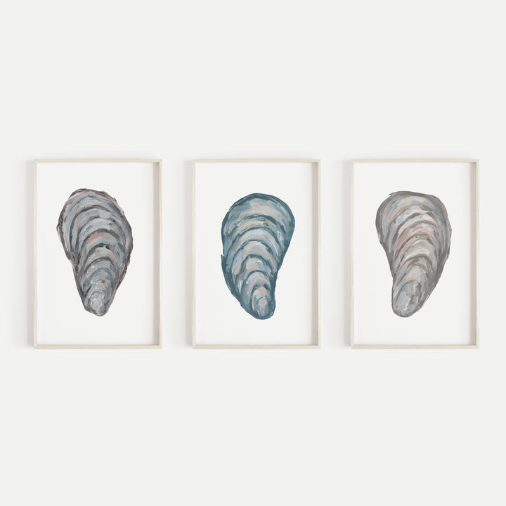 Drifted Mussels Triptych - Set of 3  - Art Prints or Canvases - Jetty Home