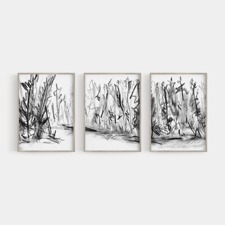 Woods Forest Black and White Sketch Triptych Set of Three Wall Art Prints or Canvas - Jetty Home