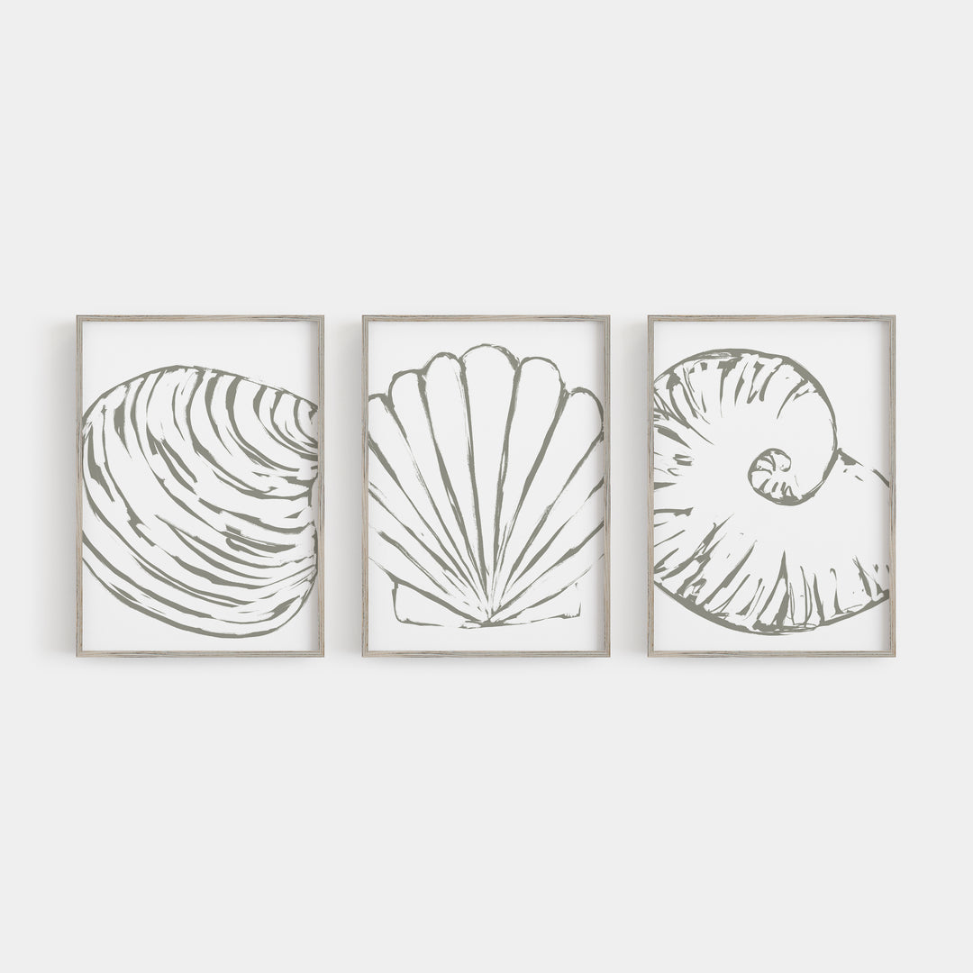 Minimalist Seashell Trio 2 - Set of 3 - Art Prints or Canvas - Jetty Home