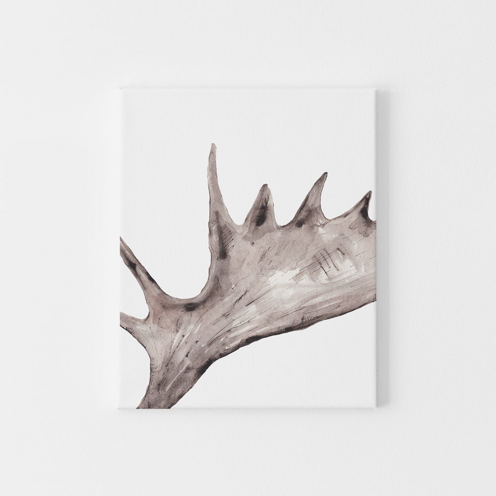 Rustic Moose Antler Cabin Wall Art Print or Canvas - Jetty Home