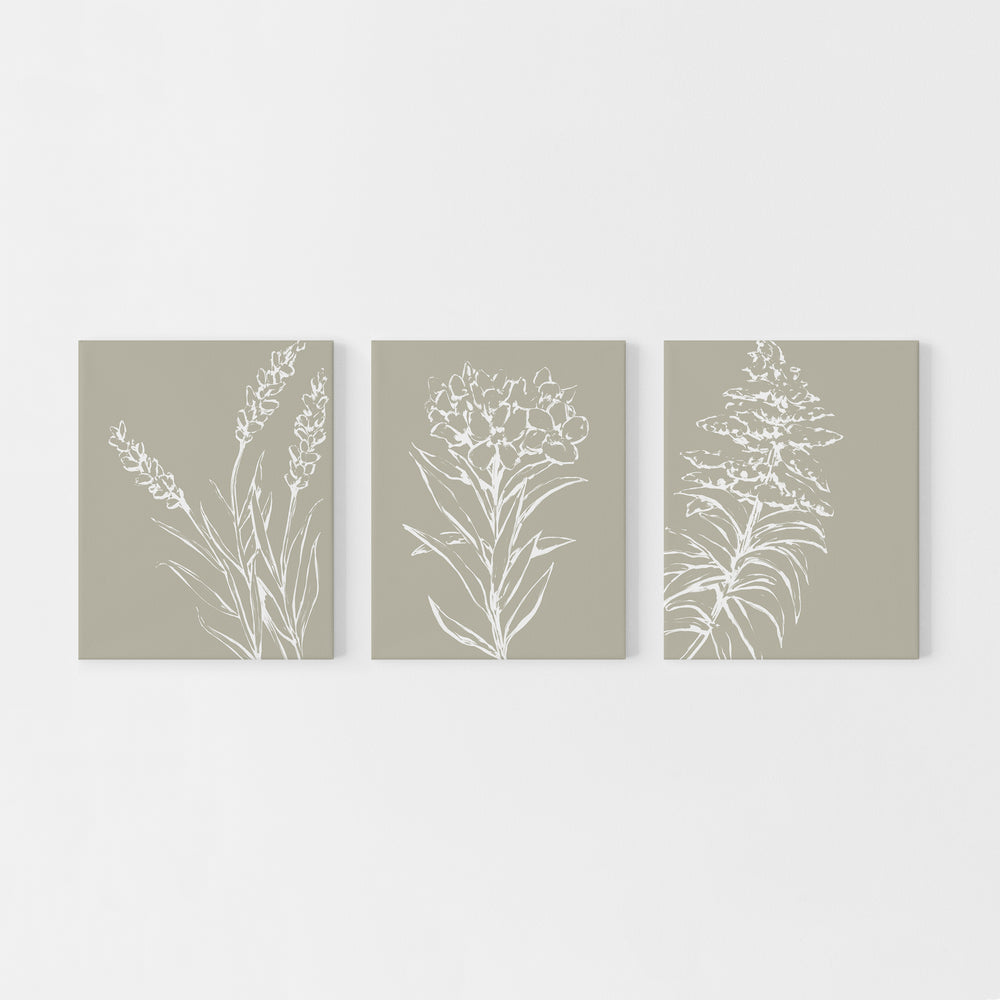 Tan and White Wild Flower Triptych Set of Three Wall Art Prints or Canvas - Jetty Home