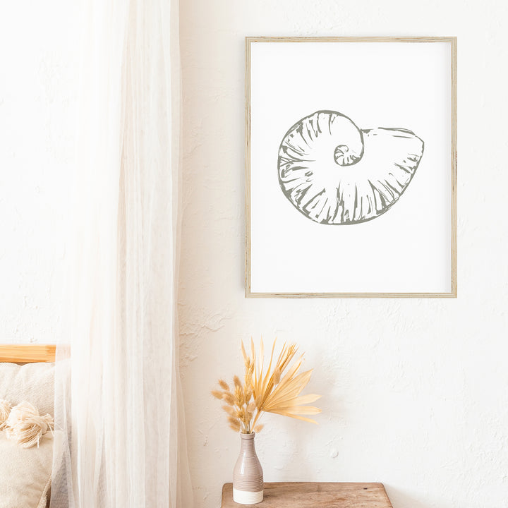 "Nautilus Seashell" Coastal Decor - Art Print or Canvas - Jetty Home