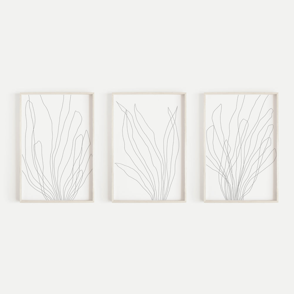 Modern Minimalist Seaweed Illustration Triptych Set of 3 Wall Art Prints or Canvas - Jetty Home