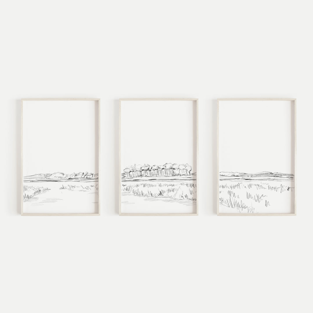 Marsh Lowcountry Illustration Triptych Set of Three Wall Art Prints or Canvas - Jetty Home