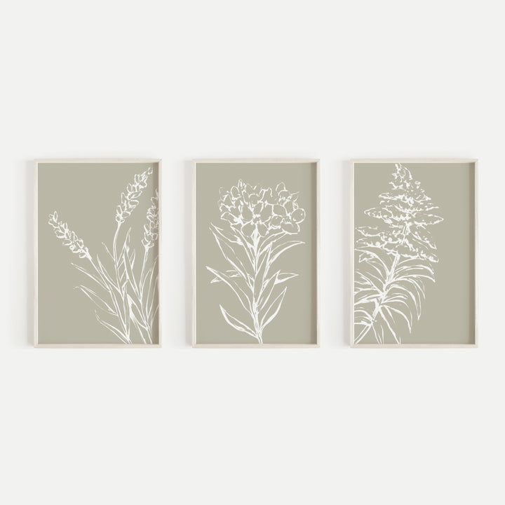 Tan and White Wild Flower Triptych Set of Three Wall Art Prints or Canvas - Jetty Home