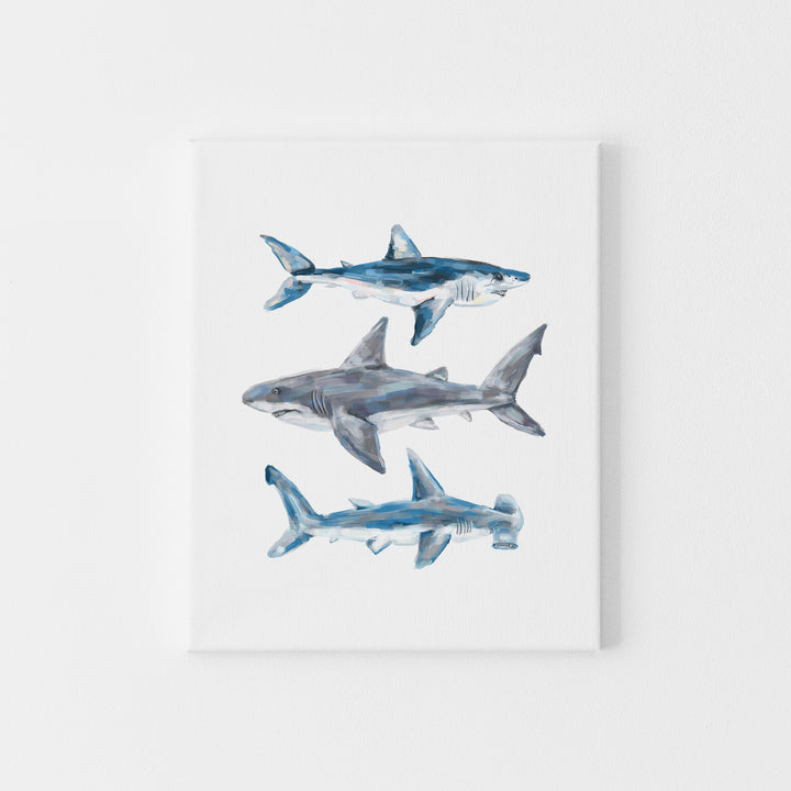 Great White, Mako + Hammerhead Shark Wall Art Print or Canvas - Jetty Home