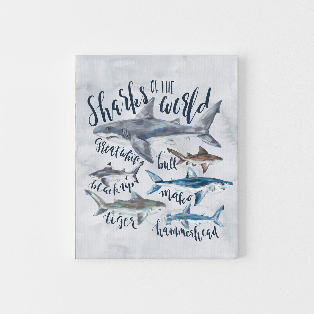 Shark of the World Species Art Print or Canvas - Jetty Home