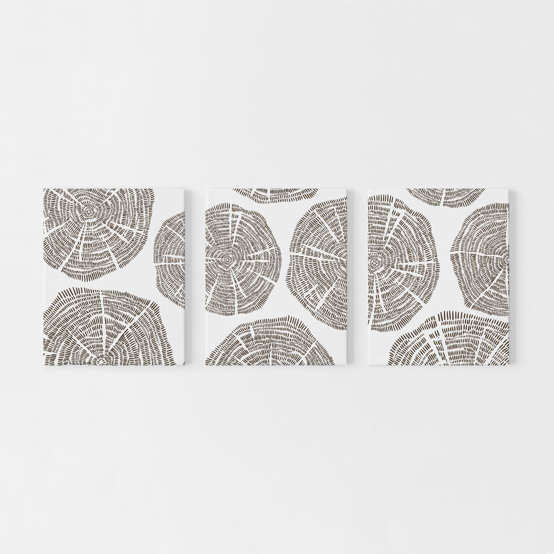 Tree Growth Rings Modern Abstract Triptych Set of 3 Wall Art Prints or Canvases - Jetty Home