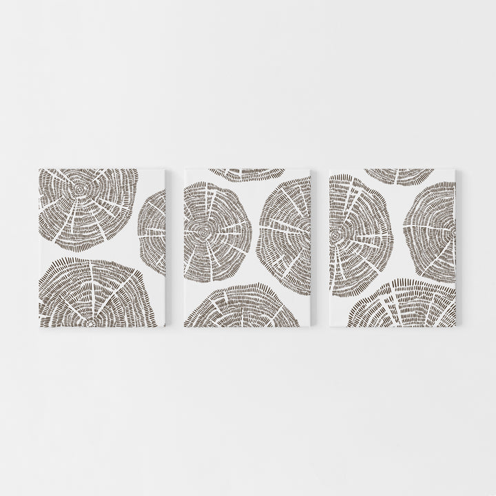 Tree Growth Rings Modern Abstract Triptych Set of 3 Wall Art Prints or Canvases - Jetty Home