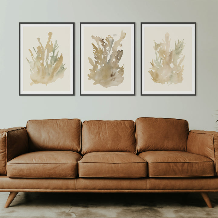 Ethereal Flora Trio - Set of 3  - Art Prints or Canvases - Jetty Home