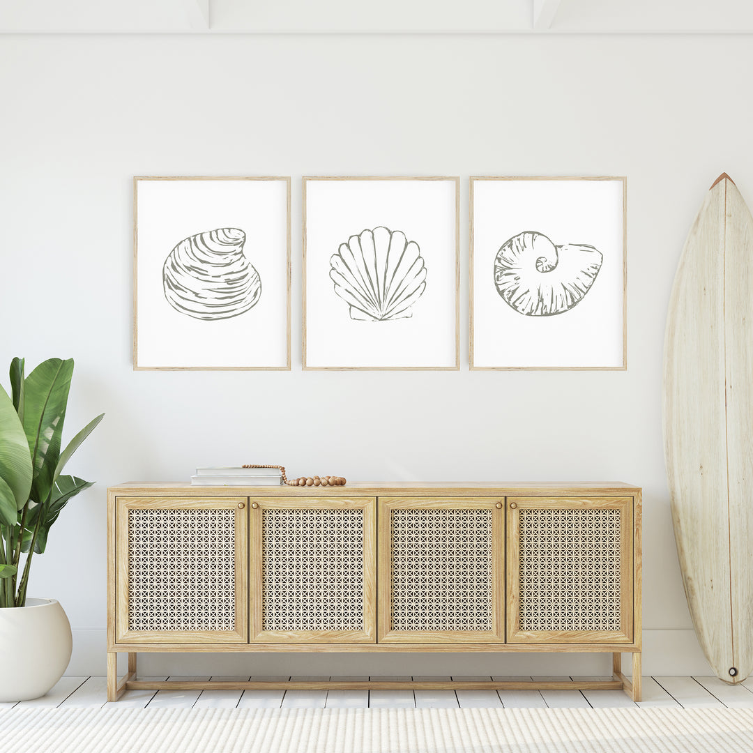 Minimalist Seashell Trio 1 - Set of 3 - Art Prints or Canvas - Jetty Home