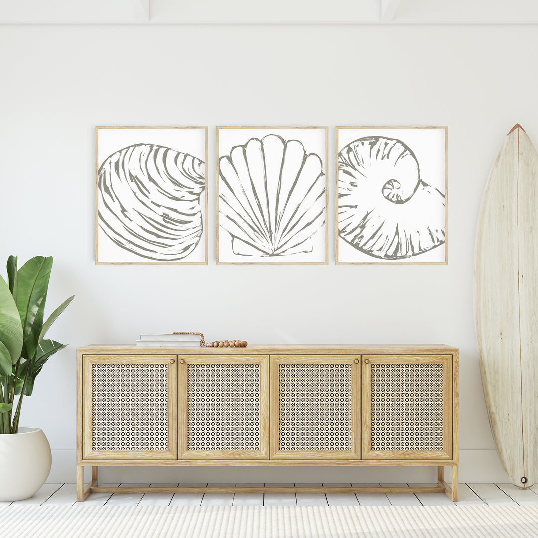 Minimalist Seashell Trio 2 - Set of 3 - Art Prints or Canvas - Jetty Home