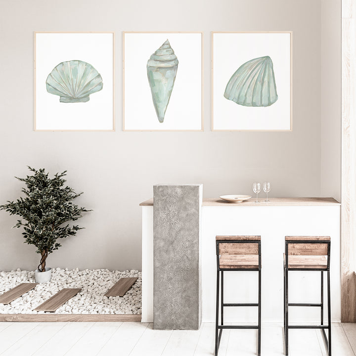 "Seashell Trio 1" - Set of 3 - Art Prints or Canvas - Jetty Home