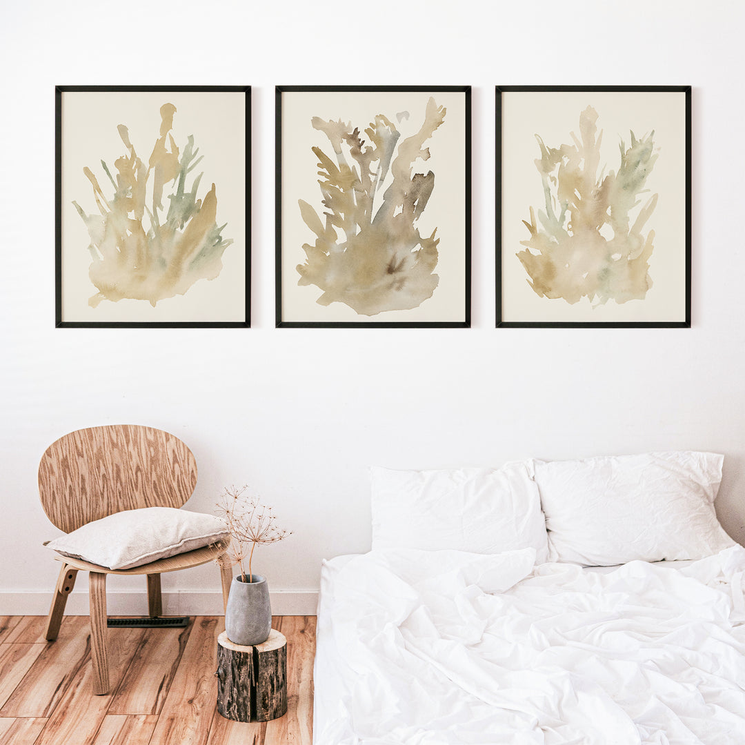 Ethereal Flora Trio - Set of 3  - Art Prints or Canvases - Jetty Home