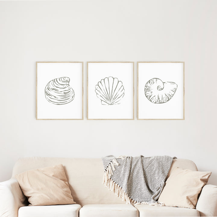 Minimalist Seashell Trio 1 - Set of 3 - Art Prints or Canvas - Jetty Home