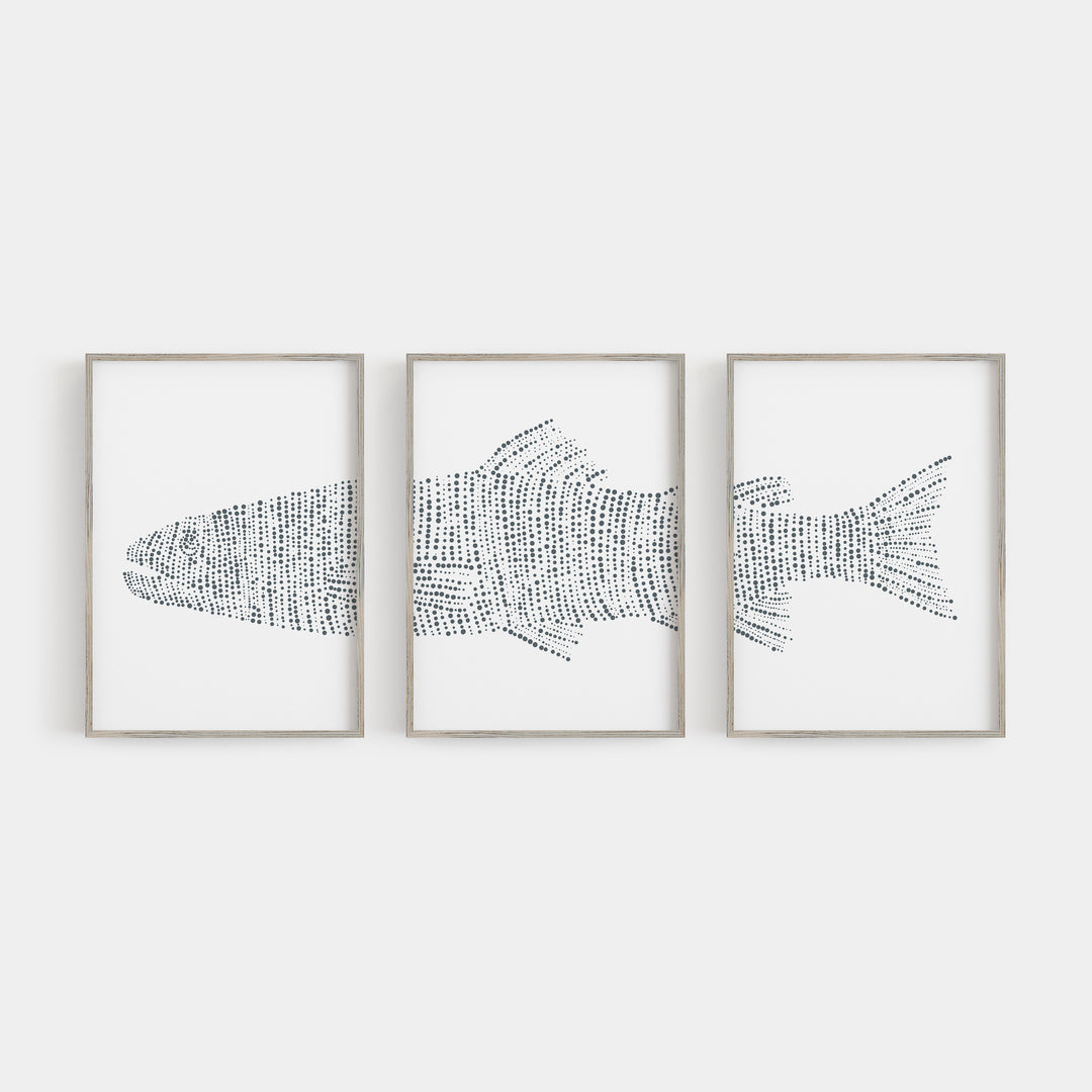Modern Lake House Trout Fish Triptych Set of Three Wall Art Prints or Canvas - Jetty Home