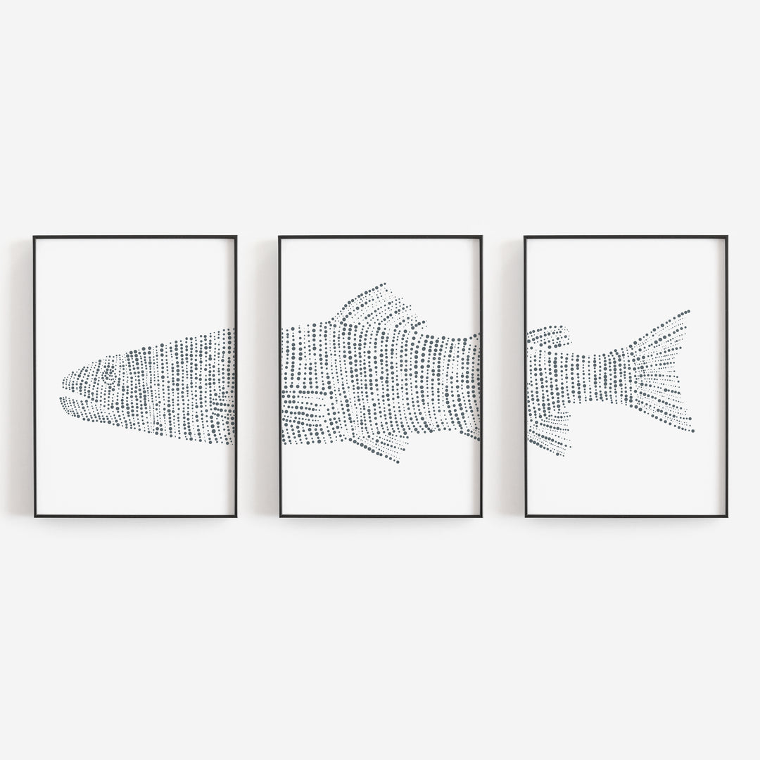 Modern Lake House Trout Fish Triptych Set of Three Wall Art Prints or Canvas - Jetty Home