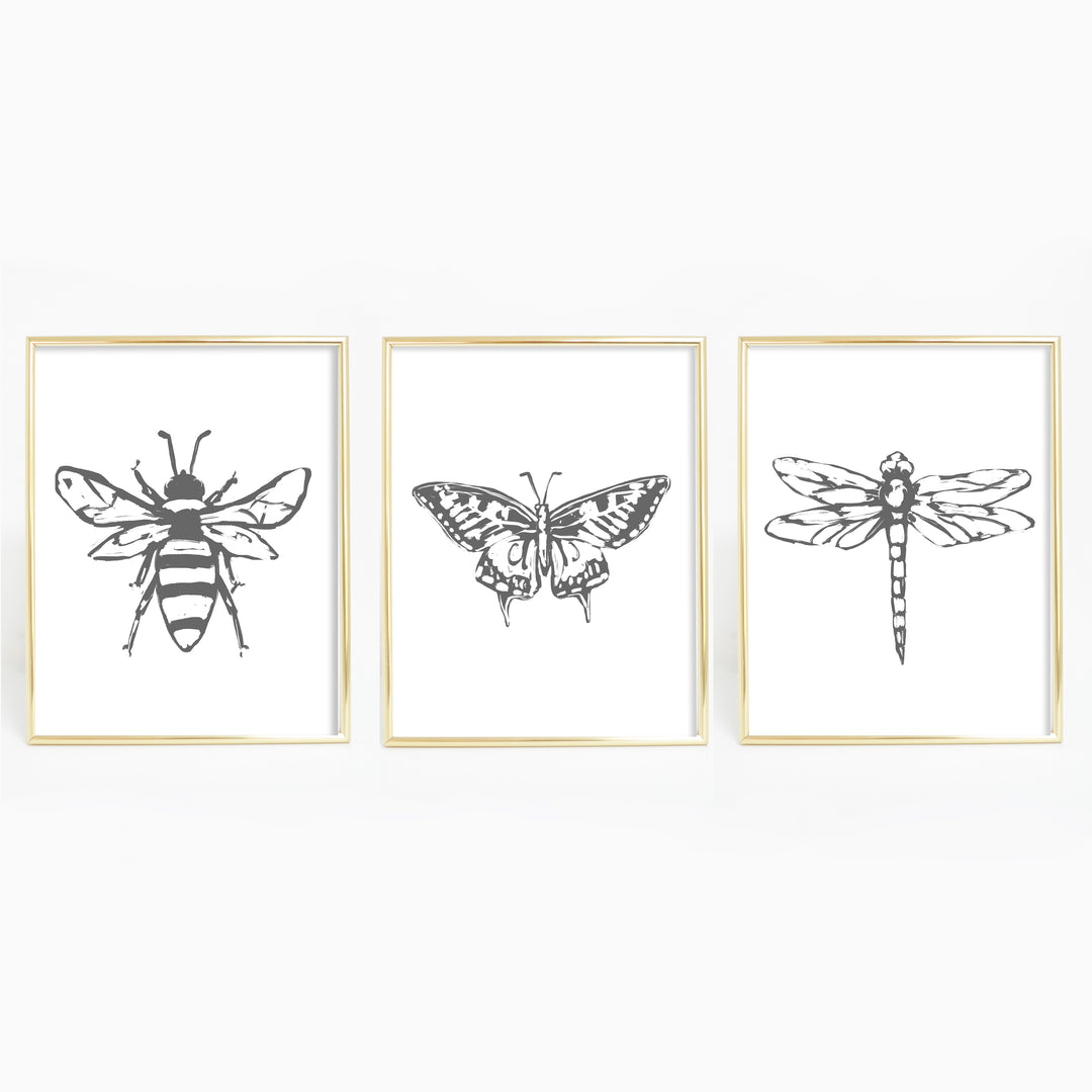 Bee, Dragonfly and Butterfly Illustration Triptych Set of Three Wall Art Prints or Canvas - Jetty Home