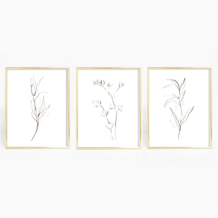 Brown and White Botanical Illustration Triptych Set of Three Wall Art Prints or Canvas - Jetty Home