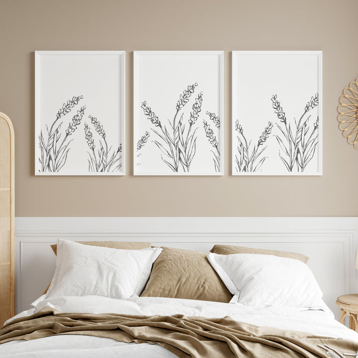Lavender Fields - Set of 3  - Art Prints or Canvases - Jetty Home