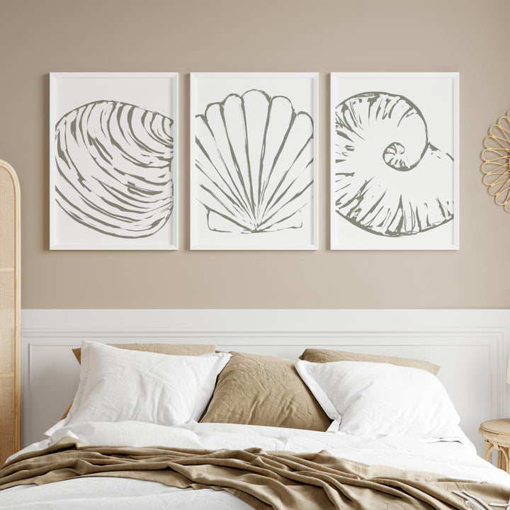 Minimalist Seashell Trio, No. 2 - Set of 3  - Art Prints or Canvases - Jetty Home