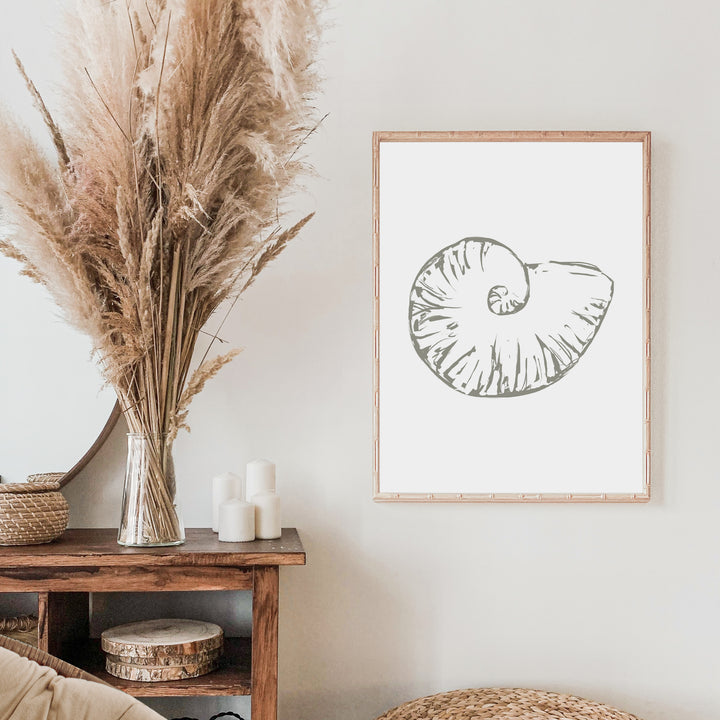 Nautilus Seashell  - Art Print or Canvas - Jetty Home
