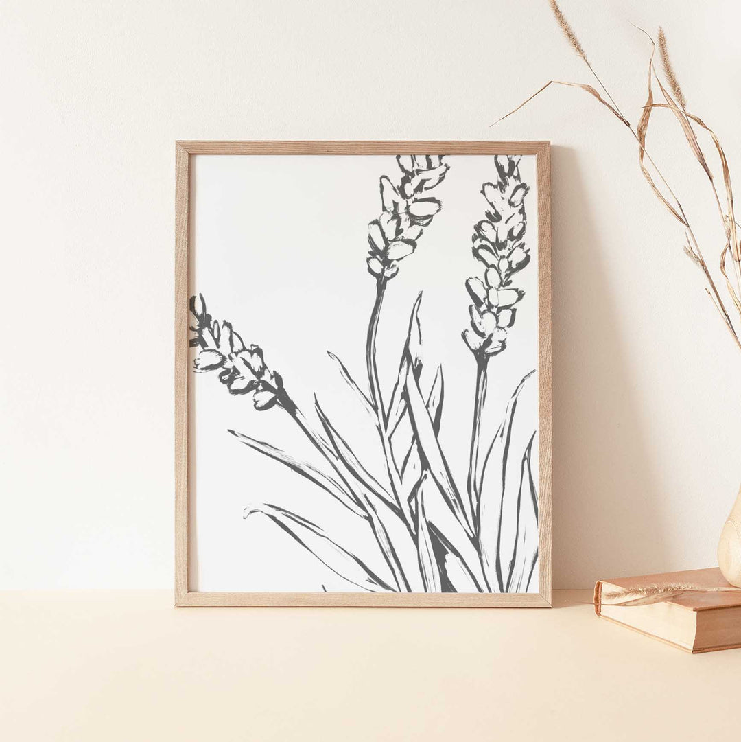 Lavender Modern Flower Minimalist Farmhouse Country Wall Art Print or Canvas - Jetty Home