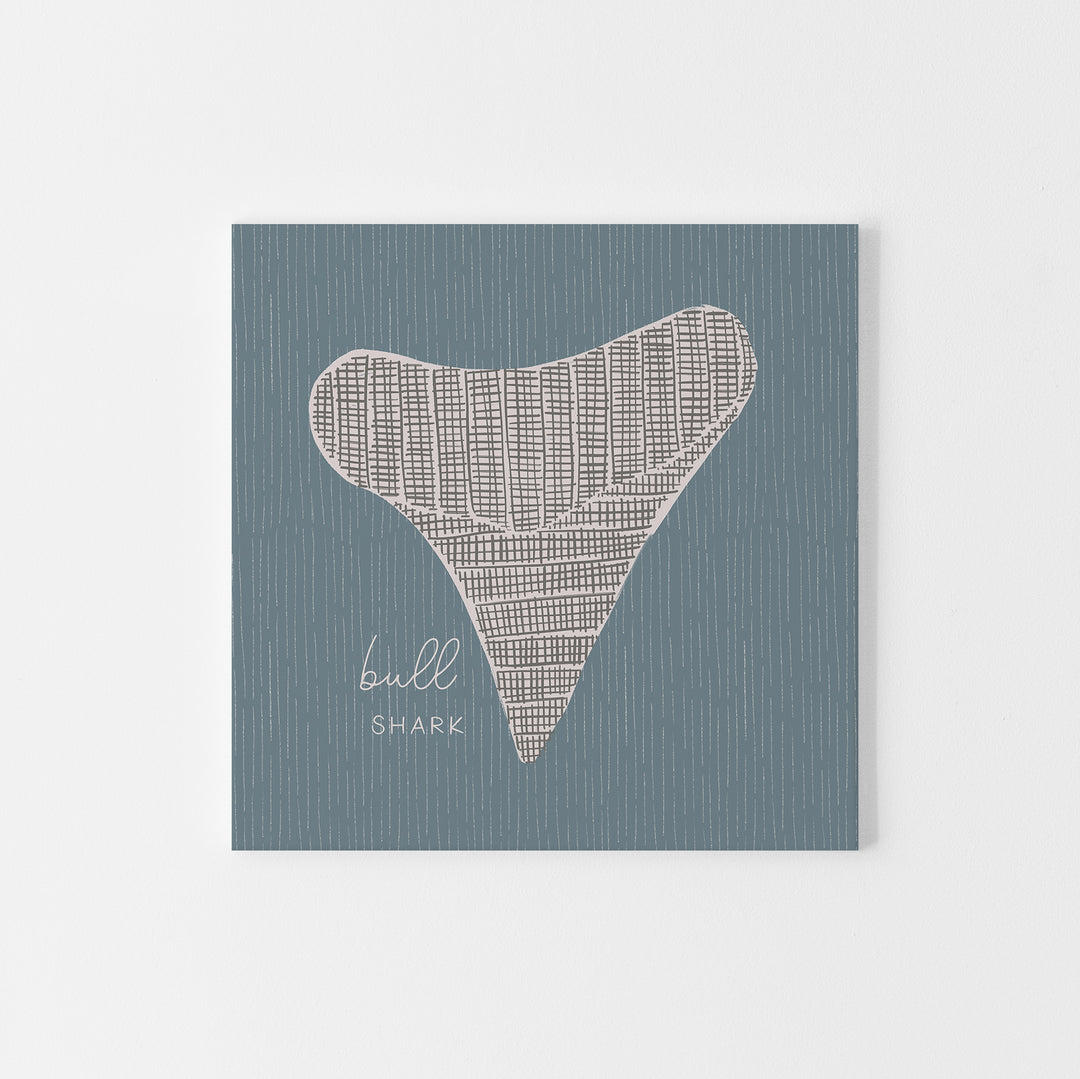 Bull Shark Tooth  - Art Print or Canvas - Jetty Home