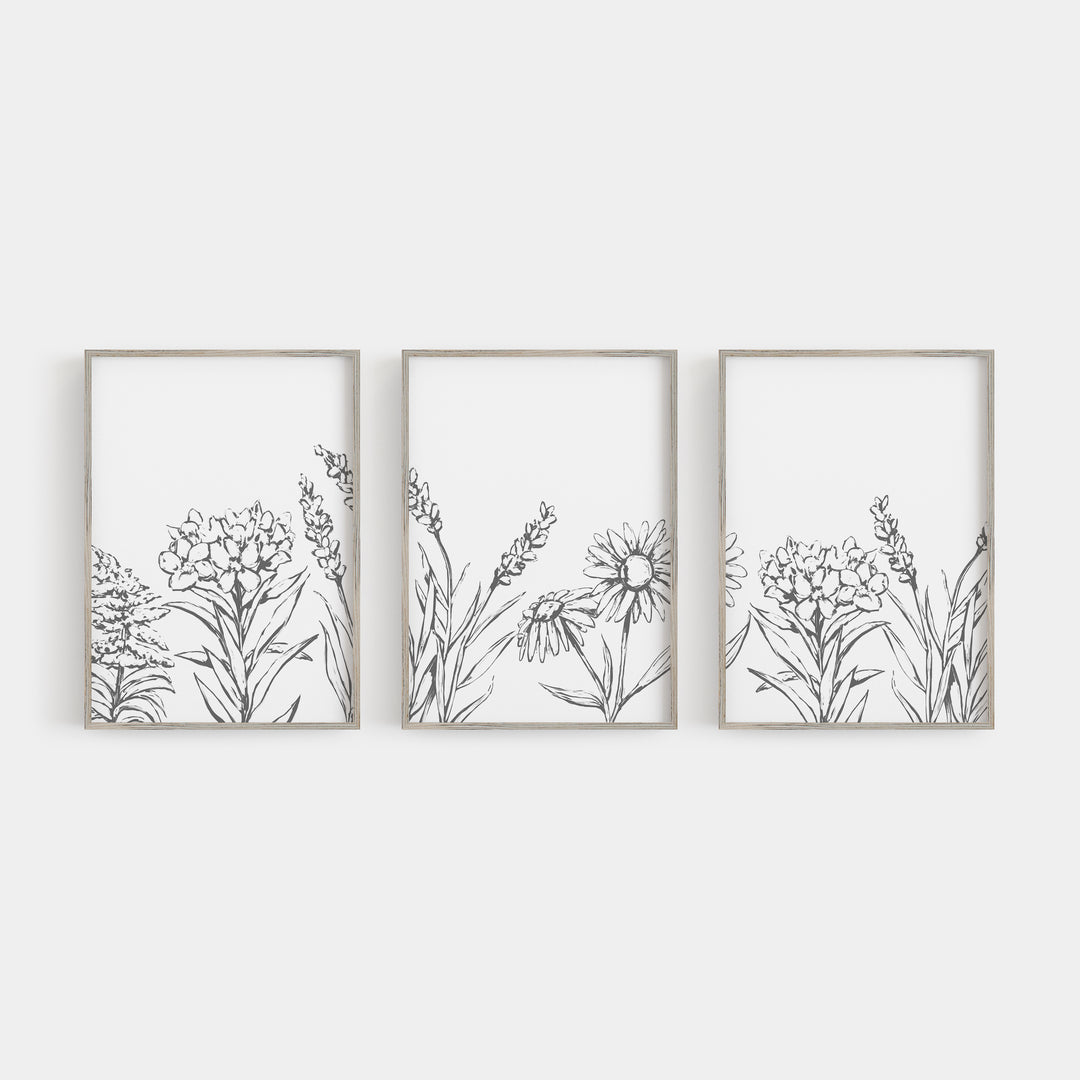 Flower Illustration Gray and White Triptych Set of Three Wall Art Prints or Canvas - Jetty Home