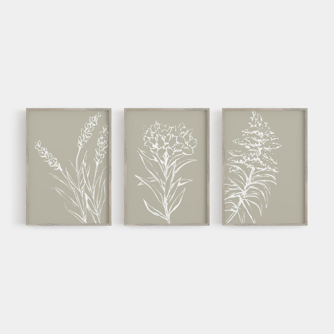 Tan and White Wild Flower Triptych Set of Three Wall Art Prints or Canvas - Jetty Home