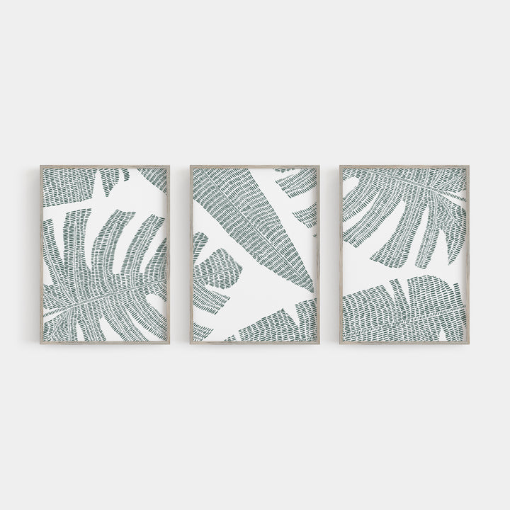 Tropical Botanicals Palm Leaf Triptych Set of Three Wall Art Prints or Canvas - Jetty Home