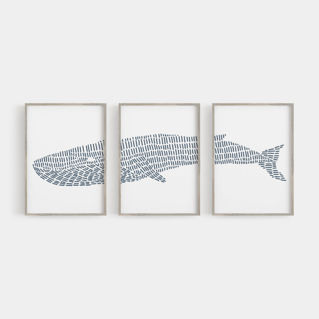 Blue Whale Illustration - Set of 3  - Art Prints or Canvases - Jetty Home